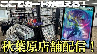 【ここで買える】最新入荷多数!秋葉原のMTG専門店から生中継!【東京MTGオンラインブース】