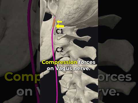 The Vagus Nerve Reset in Pain.