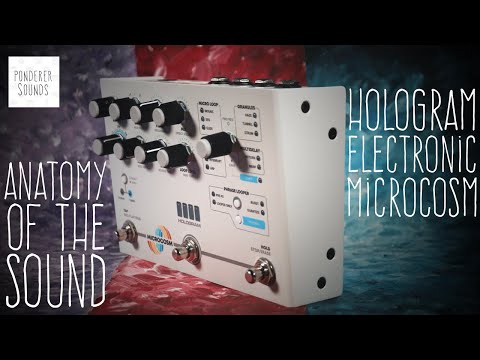 Anatomy Of The Sound - Hologram Electronics Microcosm