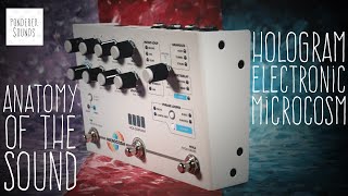 Video thumbnail for Anatomy Of The Sound - Hologram Electronics Microcosm by Ponderer Sounds