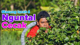 Download lagu SWALLOWING LIZARDS || EPS 152 mp3