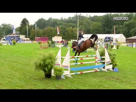 Million Dollar - Plot Blue x Vigo d'Arsouilles, in Dobrock 2019