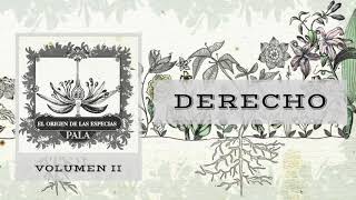 Derecho Music Video