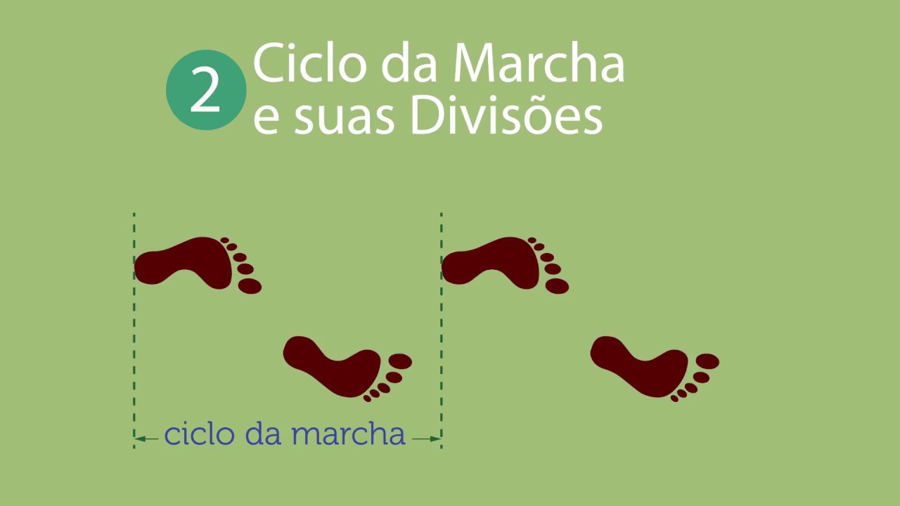 MARCHA NORMAL: ciclo e fases da marcha (vídeo-aula 1)
