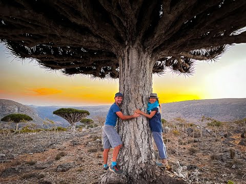 SOCOTRA ISLAND - A 7day adventure in the most wonderful island on Earth!