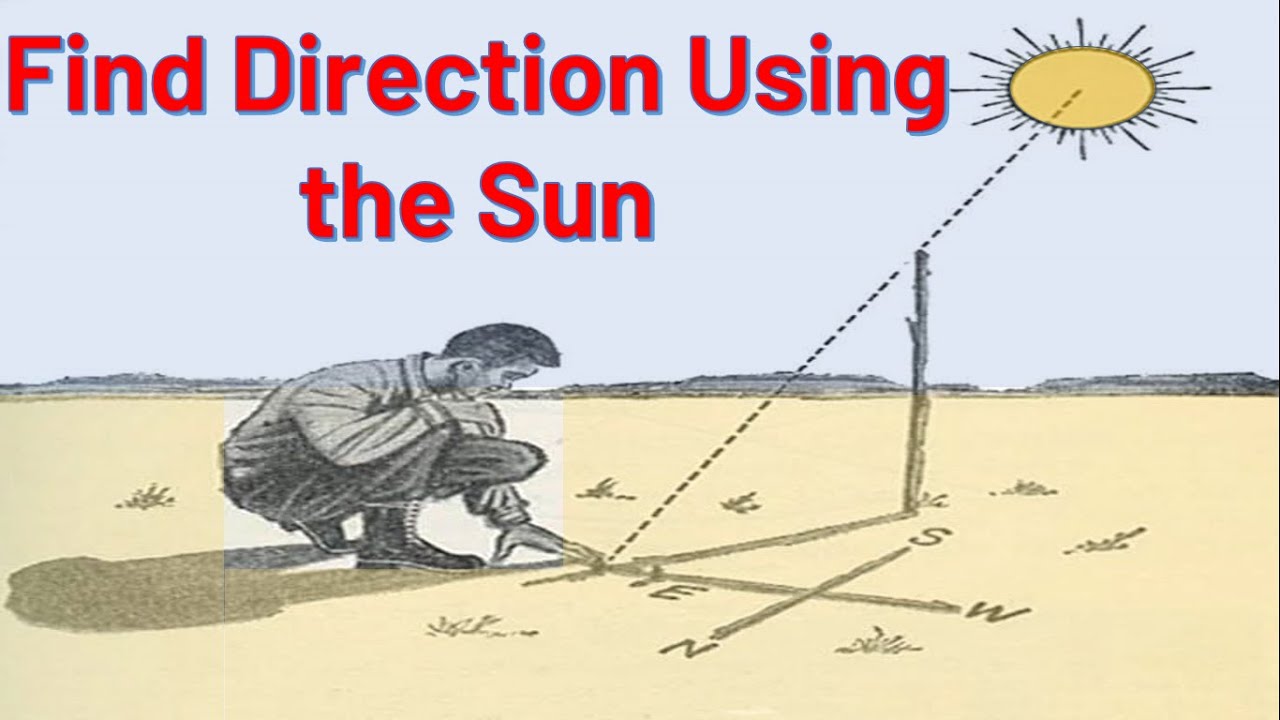 Which direction should you face to see the sun at noon? Tipseri