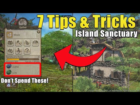 7 IMPORTANT tips and tricks before starting FFXIV Island Sanctuary!