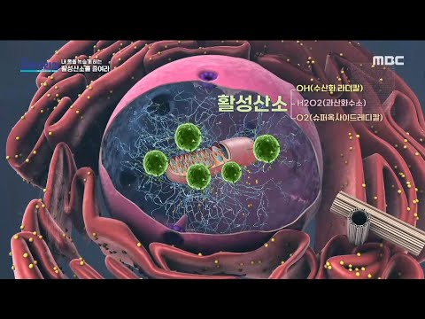 활성산소로 건강한 삶의 비밀 알아보기