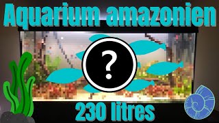 Aquarium Amazonien Watch HD Mp4 Videos Download Free