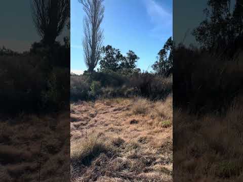 Video de YouTube - Chacra en venta de 12 hectáreas 3709m²ubicado en Santa Rosa - Canelones
