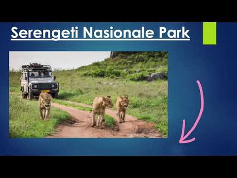 TOERISME GRAAD 11: 12 Junie 2020 - periode 8 (12118)