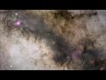 Pond - Whatever Happened To The Million Head ...