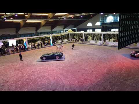 ASSA BARIZAH. SM BARIQ  BY  SAMEH AL RAYYAN  & SAHMA BY MARDUK  BY MARDUK GUASIMO