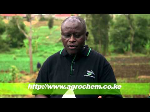 Shamba Shape Up Sn 05 - Ep 07 Cabbages, Chickens, Cows, Chemicals (English)