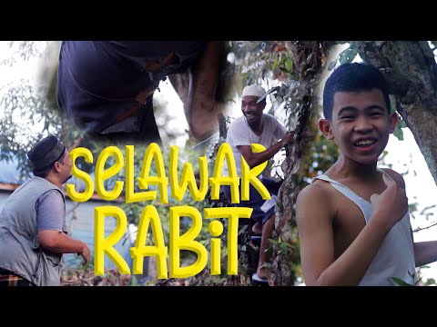 selawar-rabit