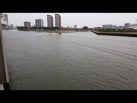 Wassertaxi tanzt zur Verabschiedung AIDA PRIMA im Hafen von Rotterdam #aidacruises #rotterdam #short
