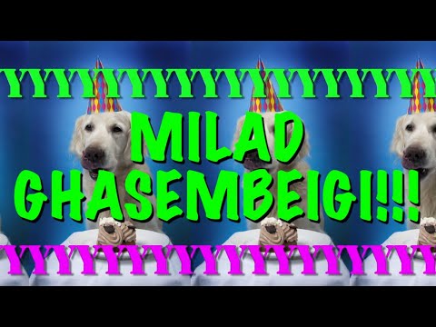 HAPPY BIRTHDAY MILAD GHASEMBEIGI! - EPIC Happy Birthday Song
