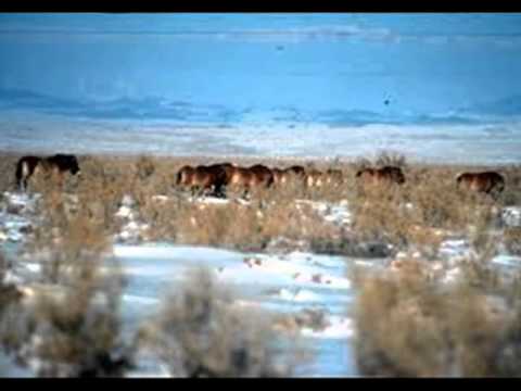 B.Bayar "Soyol Erdene" -Huduugiin Bayasgalan