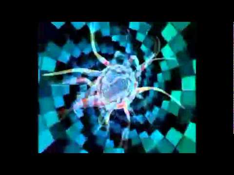 Laidback Luke-Timebomb (DJ Seris Kentukyfuk Mix)