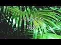 N I G H T S Basic Slowed