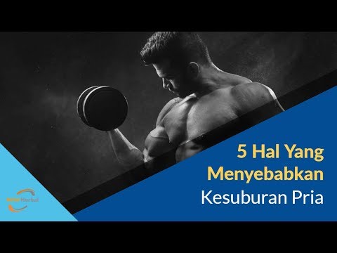 Bagaimana membawa seorang wanita untuk menonton secara online Obat tradisional meningkatkan penis