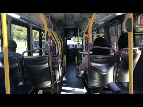Translink 2018 NovaBus LFS HEV 4th gen V18348 On 33 29th Avenue Station