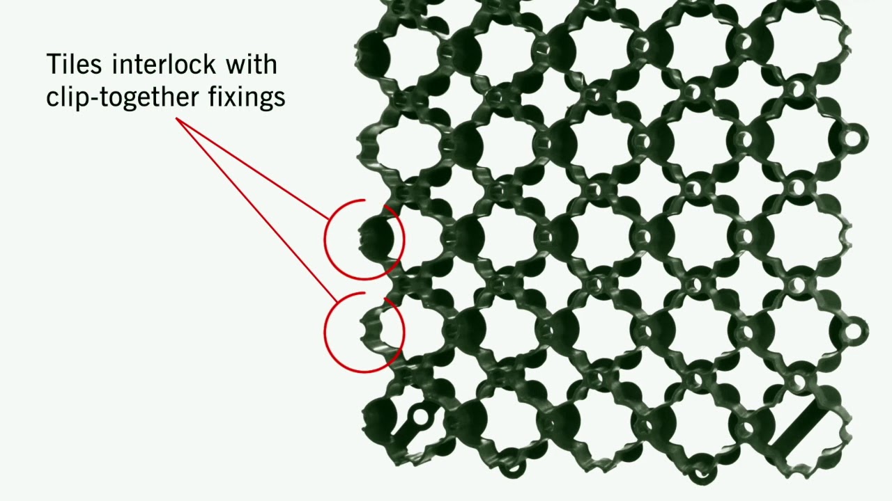 Zāliena režģa video