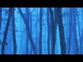 Enya | "Portrait Out of the Blue"
