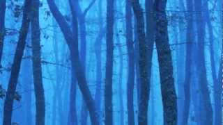 Enya | "Portrait Out of the Blue"