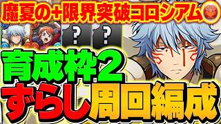【火属性】魔夏の+限界突破コロシアムを育成枠2でずらし周回！+891を爆速作成！これ見ればOK!【パズドラ】