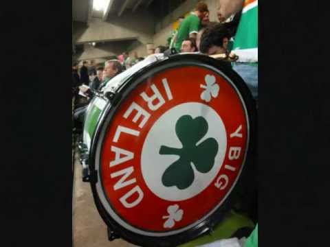 ireland euro 2012 cat is in the sack