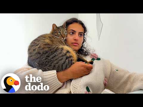 Cat Siblings Are Velcroed To Mom The Second She Wakes Up | The Dodo