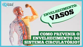 Como evitar o envelhecimento precoce das veias e artérias