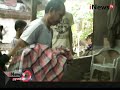 Bocah berusia 2 tahun meninggal dunia terseret arus sungai di Gowa, Sulsel - iNews Siang 21/01 Bocah berusia 2 tahun meninggal dunia terseret arus sungai di Gowa, Sulsel - iNews Siang 21/01