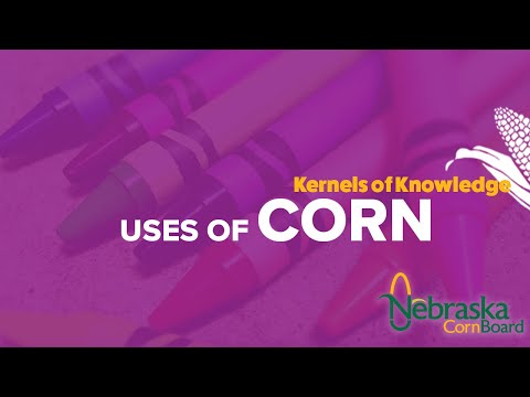 download lagu mp3 mp4 Uses Of Corn, download lagu Uses Of Corn gratis, unduh video klip Uses Of Corn