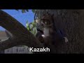 RJ S Nightmare Multilanguage