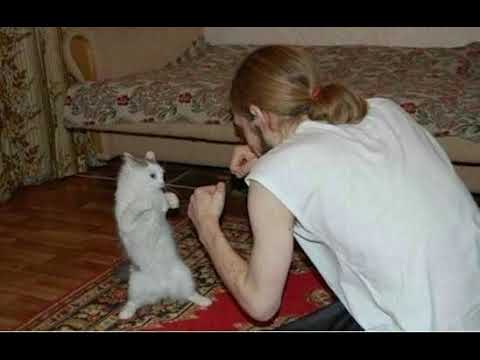 Spicy UKG mix 134bpm