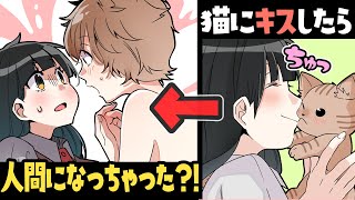 猫系男子の飼い方wwwwww