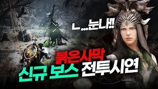 퀘이사존