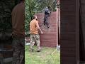 UWAGA NA GŁOWY ️ Dog Dutchshepherd Malinois Belgianmalinois Dogtraining K9 K9training