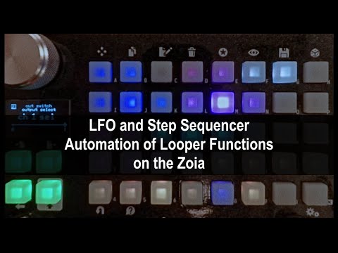 LFO and Step Sequencer Automation of Looper Functions on the Zoia