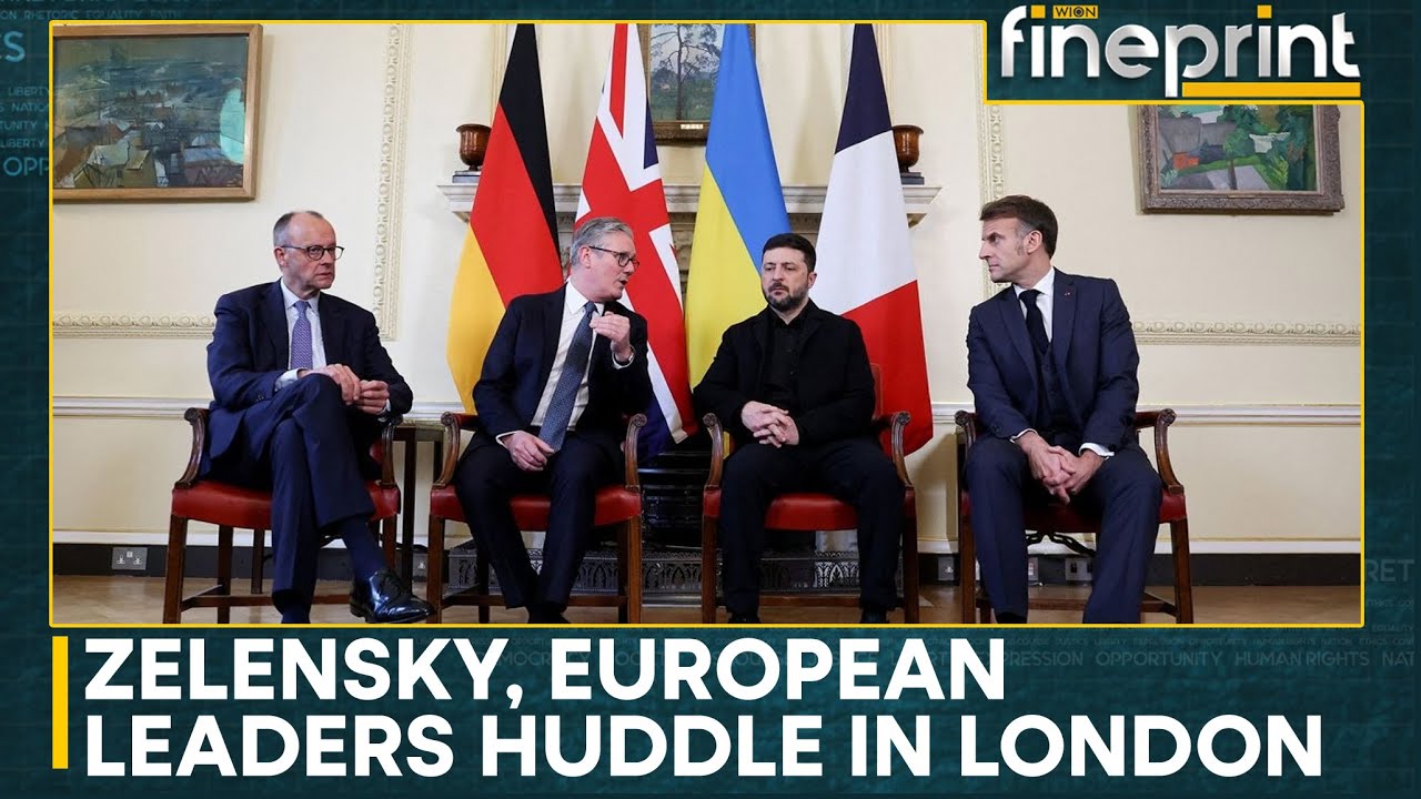 Trump 'Disappointed' With Zelensky, Trump Says Zelensky Hasn't Read His Peace Plan | WION Fineprint