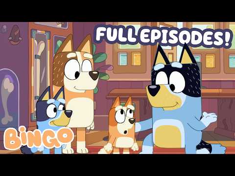 We Love You Bingo! 🥰🧡 | 30 Minutes Of LOVE For Bingo! | Bingo - Official Channel