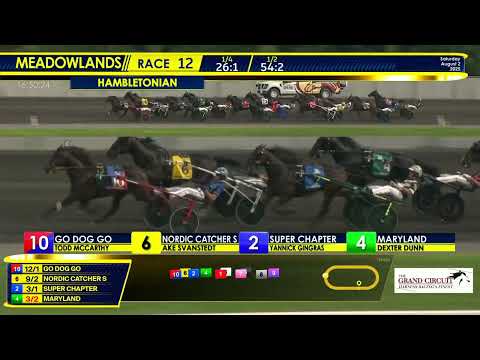 August 2, 2025 - 100th Hambletonian - Race 12