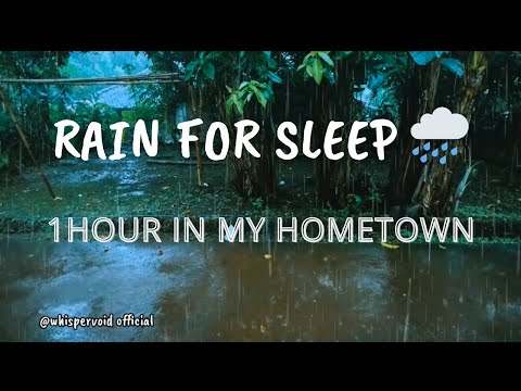 Rainy Morning in My Hometown | Peaceful Ambience for Sleep,Relaxation & Study