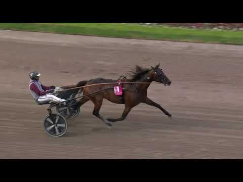 Elitloppet final 2023 - Hohneck
