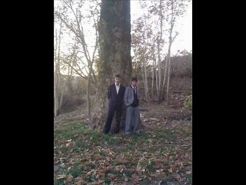 3 hanedan        fenero