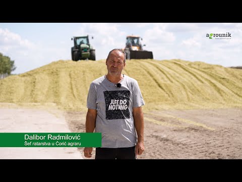 Kako Silko inokulant donosi rezultate u Ćorić Agraru: Iskustvo Dalibora Radmilovića