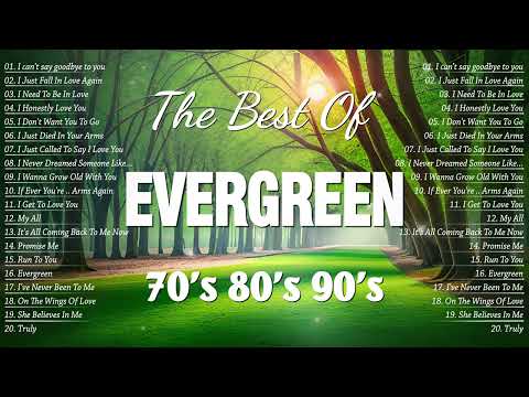 The Best Beautiful Evergreen Cruisin Love Songs Of 70's 80's 90's🌷Relaxing Old Love Songs 80's 90's