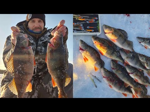 PILKILLÄ | ISOA AHVENTA JA VINKKEJÄ PILKINTÄÄN!